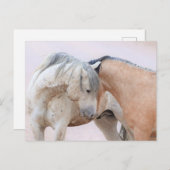 Onaqui Wild Horses Briefkaart (Voorkant / Achterkant)