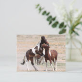 Onaqui Wild Horses Briefkaart (Staand voorkant)