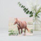 Onaqui Wild Horses Briefkaart (Staand voorkant)