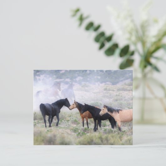 Onaqui Wild Horses Briefkaart (Staand voorkant)