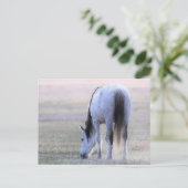 Onaqui Wild Horses Briefkaart (Staand voorkant)