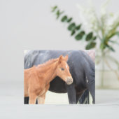 Onaqui Wild Horses Briefkaart (Staand voorkant)