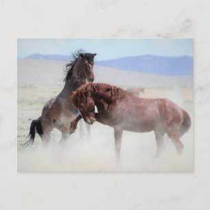 Onaqui Wild Horses Briefkaart