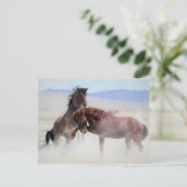 Onaqui Wild Horses Briefkaart (Staand voorkant)