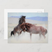 Onaqui Wild Horses Briefkaart (Voorkant / Achterkant)
