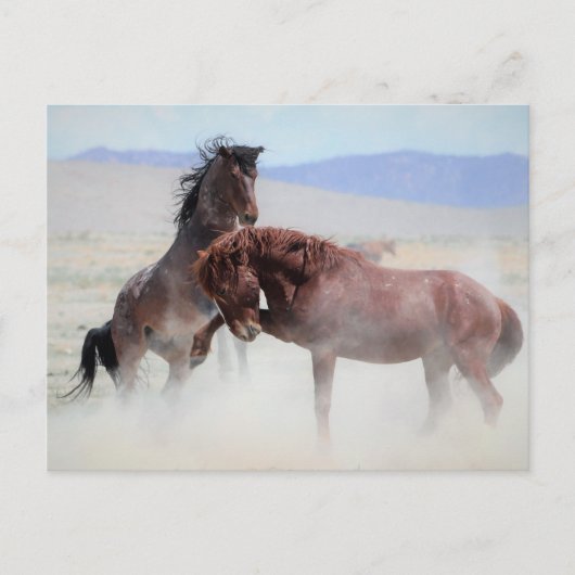 Onaqui Wild Horses Briefkaart (Voorkant)