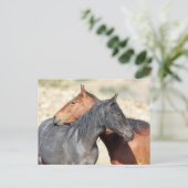 Onaqui Wild Horses Briefkaart (Staand voorkant)