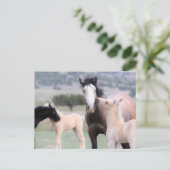 Onaqui Wild Horses Briefkaart (Staand voorkant)