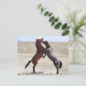 Onaqui Wild Horses Briefkaart (Staand voorkant)
