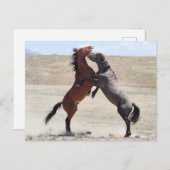 Onaqui Wild Horses Briefkaart (Voorkant / Achterkant)