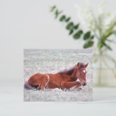 Onaqui Wild Horses Briefkaart (Staand voorkant)