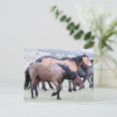 Onaqui Wild Horses Briefkaart (Staand voorkant)