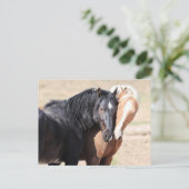 Onaqui Wild Horses Briefkaart (Staand voorkant)