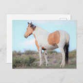 Onaqui Wild Horses Briefkaart (Voorkant / Achterkant)