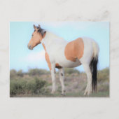 Onaqui Wild Horses Briefkaart (Voorkant)