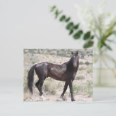 Onaqui Wild Horses Briefkaart (Staand voorkant)
