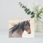 Onaqui Wild Horses Briefkaart (Staand voorkant)