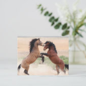 Onaqui Wild Horses Briefkaart (Staand voorkant)