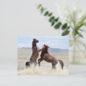Onaqui Wild Horses Briefkaart (Staand voorkant)