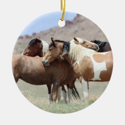 Onaqui Wild Horses Ornament (Voorkant)