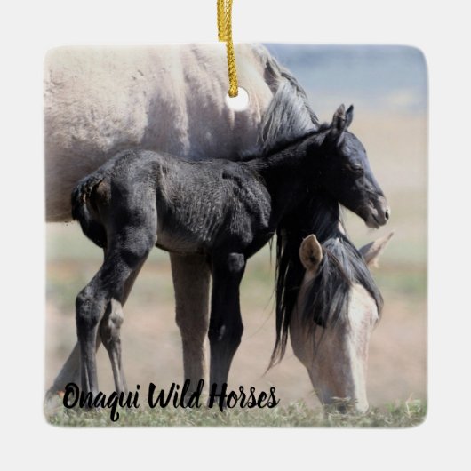 Onaqui Wild Horses Ornament (Voorkant)