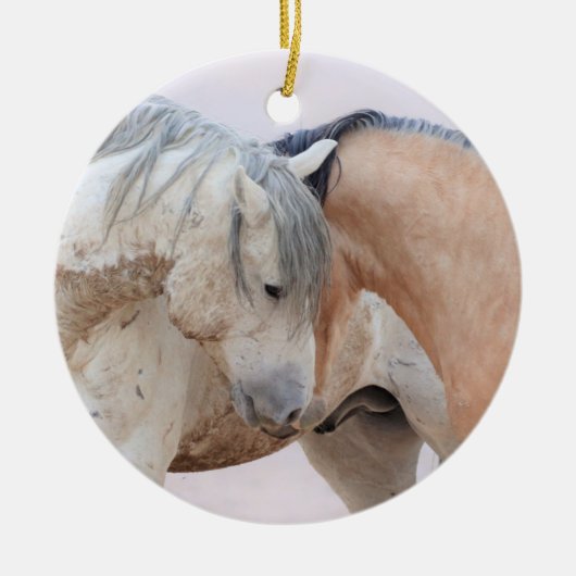 Onaqui Wild Horses Ornament (Voorkant)