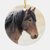 Onaqui Wild Horses Ornament (Voorkant)