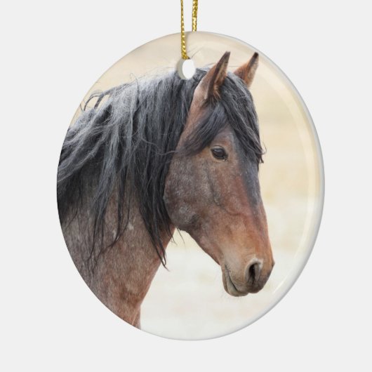 Onaqui Wild Horses Ornament (Links)