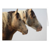 ONAQUI Wilde paarden Blank Note Kaart Pintos (Voorkant Horizontaal)