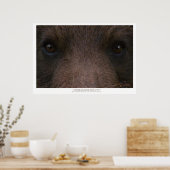ONBEARBARE BEAUTY (Grizzly Beer) ~ Art Prints (Keuken)