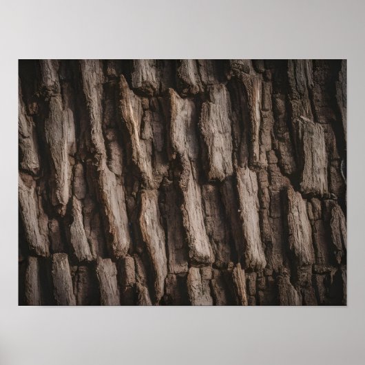 Onbehandelde Natuurlijke Boomstam Textuur Poster (Voorkant)