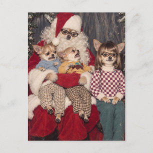 Onbeholpen Chihuahua Kerstfoto met Kerstman Briefkaart
