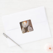 Onbekend meisje van 20 jaar en 1587 jaar vierkante sticker (Envelop)