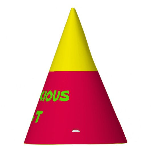 Onbekend Pet Feesthoedjes (Rechts)