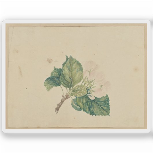 Onbekende maker - Flowering Branch Sticker (Voorkant)