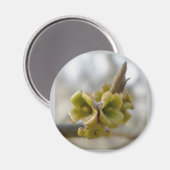 Onbekende structuurventilator - Springtime Magneet (Voorkant / Achterkant)