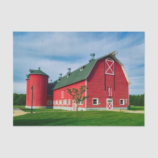 Onberispelijke, perfecte rode Afbeelding en Silo Tissuepapier (Voorkant)