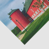 Onberispelijke, perfecte rode Afbeelding en Silo Tissuepapier (Detail)