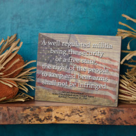 Onbevlekte Amerikaanse vlag en tweede amendement Fotoplaat