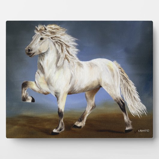 Onbeweeglijkheid Fotoplaat (Voorkant)