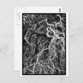 Onbewerkt Briefkaart (Voorkant / Achterkant)