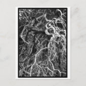 Onbewerkt Briefkaart (Voorkant)