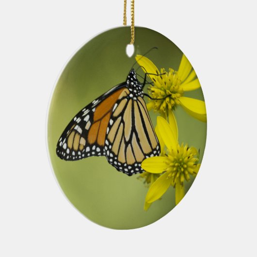 Onbewerkte zuiverheid keramisch ornament (Rechts)