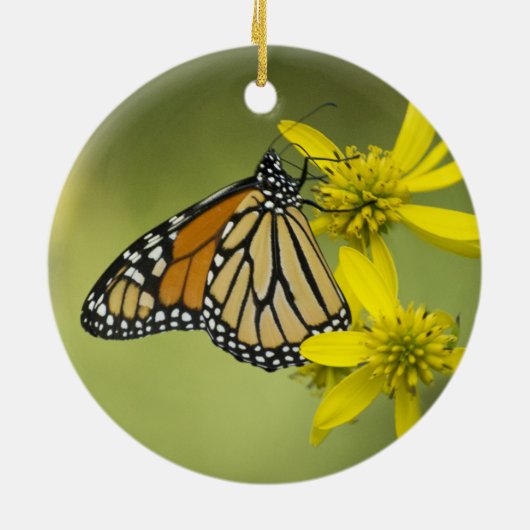 Onbewerkte zuiverheid keramisch ornament (Achterkant)