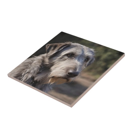 "Onbewogen Majesteit: De Stoïcijnse Blik Van De Wo Tegeltje (Zijkant)