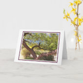 Onbezorgde boomblanco Kaart (Gele Bloem)