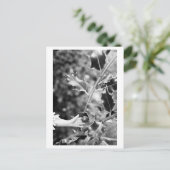 Once upon a time in the woods briefkaart (Staand voorkant)