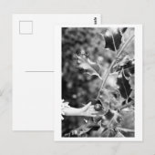 Once upon a time in the woods briefkaart (Voorkant / Achterkant)