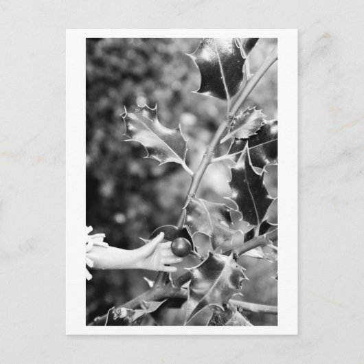 Once upon a time in the woods briefkaart (Voorkant)