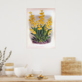 Oncidium Cheirophorum Golden Yellow Orchid Poster (Keuken)